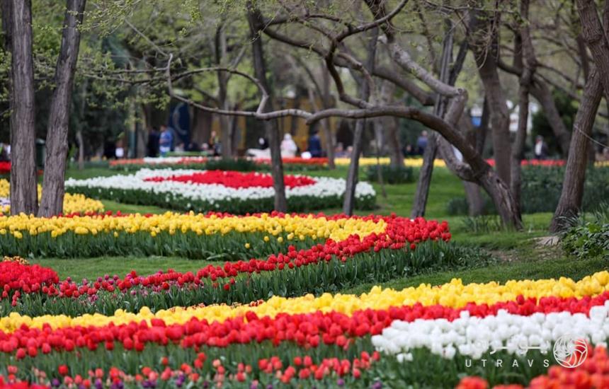 جشنواره گلهای لاله پارک ملت مشهد